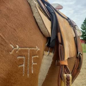 Meet your Posher, Nicolina